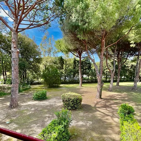 Lägenhet Premium Mono A1 Marina Di Bibbona